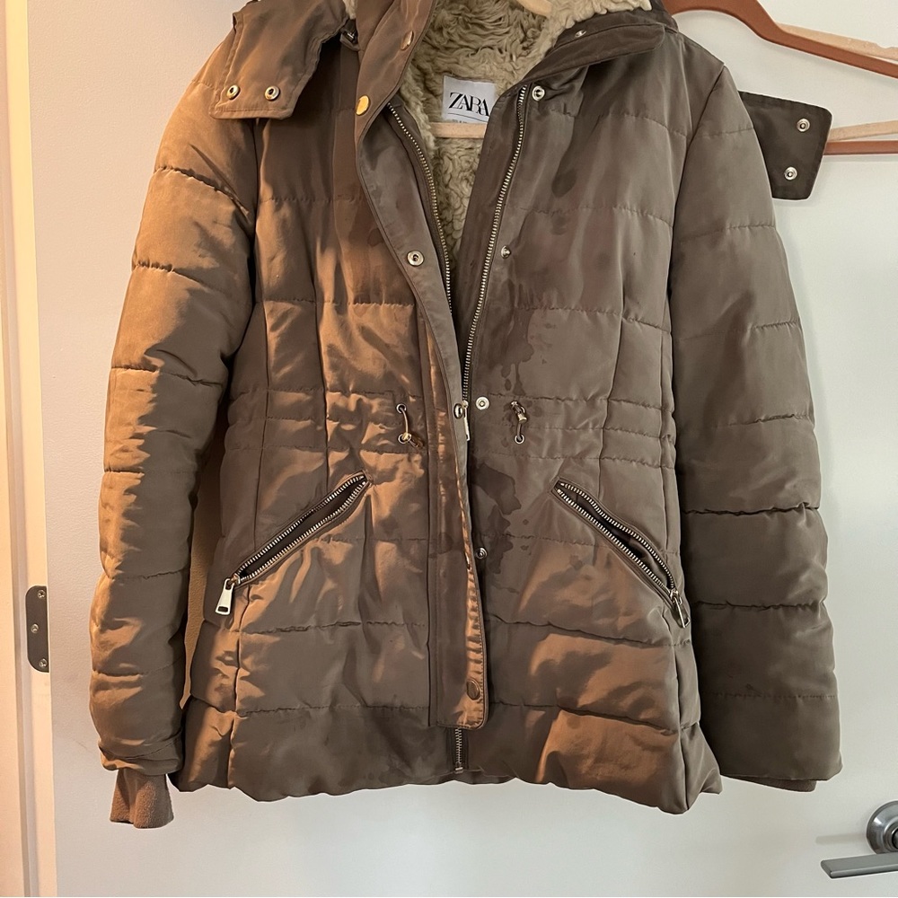 Winter Coat